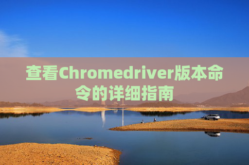 查看Chromedriver版本命令的详细指南